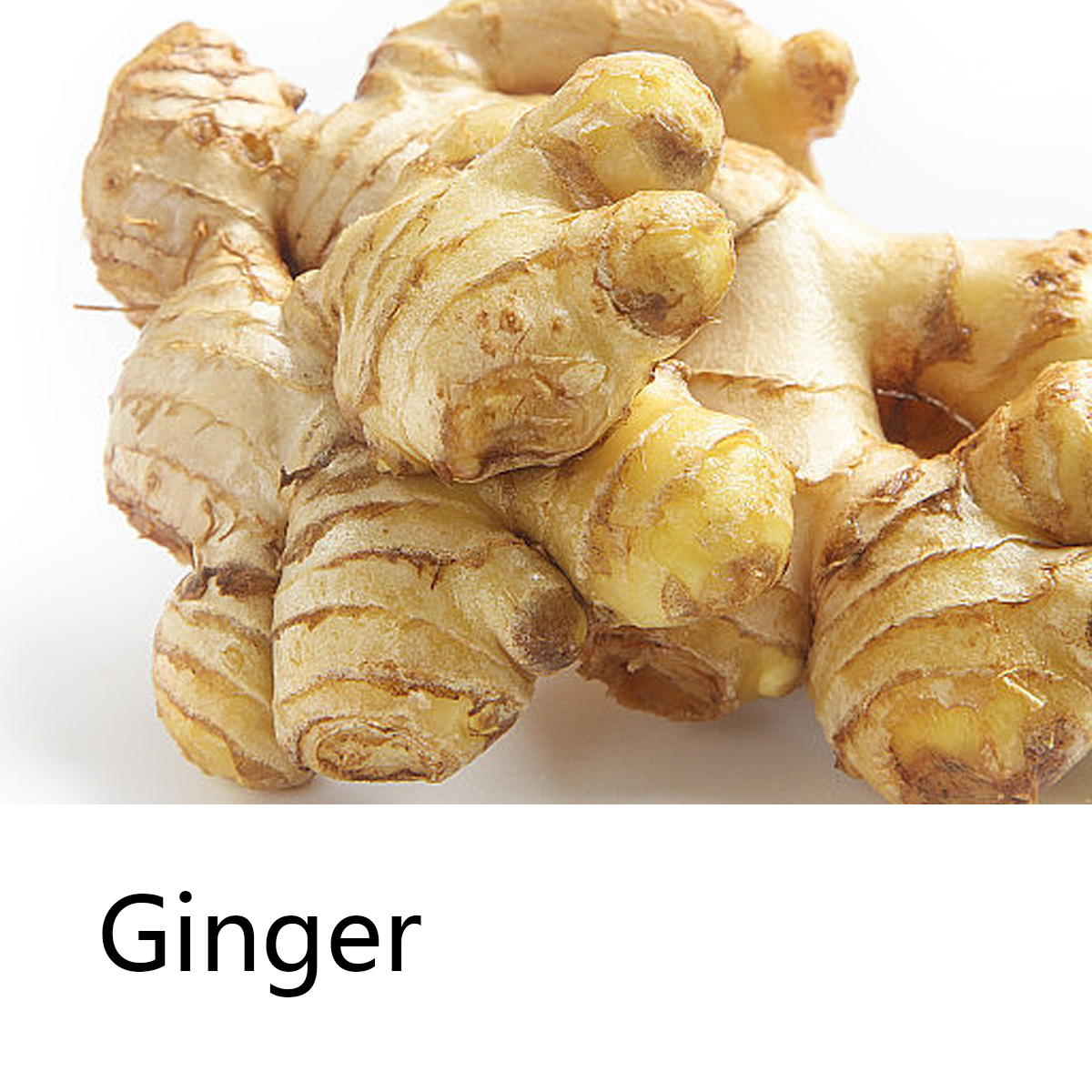 Ginger Essential Oil Shampoo B - Hair Care Pantene recension och pris