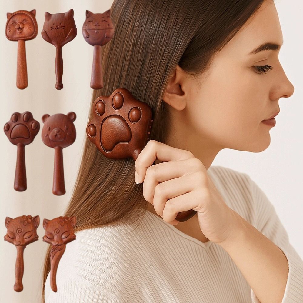 Handheld Animal Shape Air Bag  - Bamboo Hair Brush recension och pris